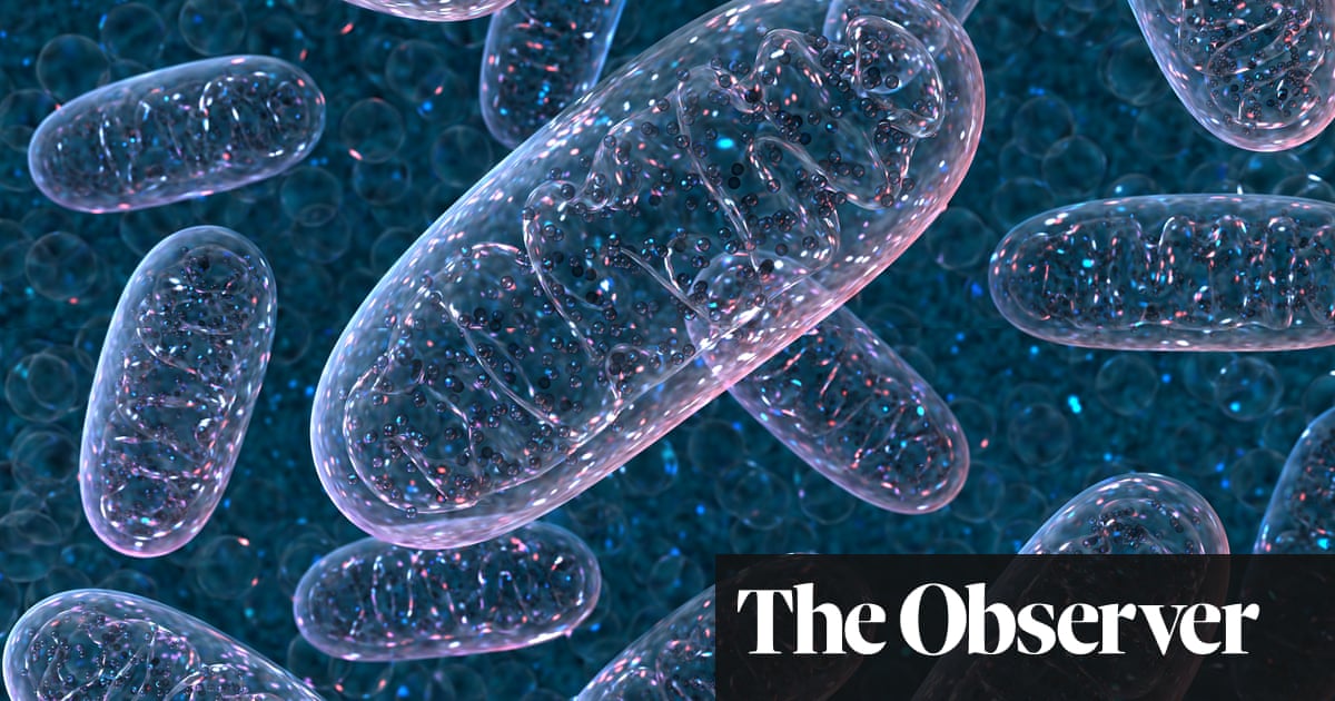 Can our mitochondria help to beat long Covid?