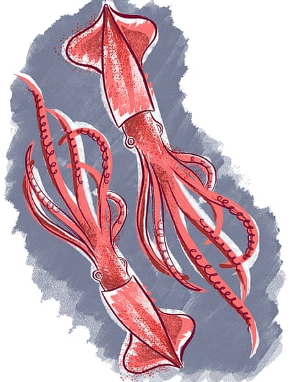 Squid chosen by Fred Sirieix