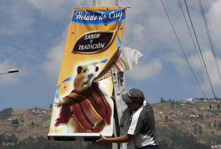 A banner promoting helado de cuy, or guinea pig ice cream, is put up in Quito, Ecuador