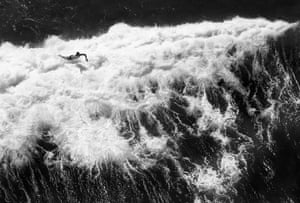 Aerial view of a surfer at Bondi beach