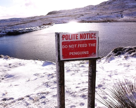 Do not feed the penguins”.