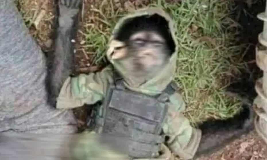 The monkey in the ‘bulletproof’ vest who died in the State of Mexico shootout.