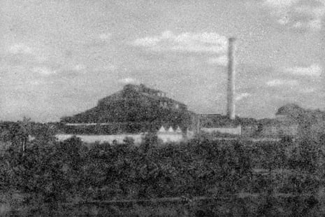 A sugar portrait of a sugar mill in a forest