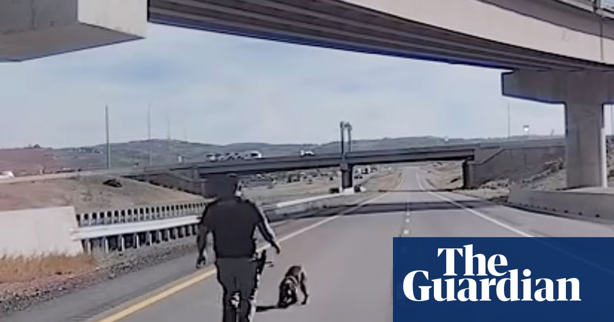 Video shows moment Utah police dog seriously injured in leap from overpass