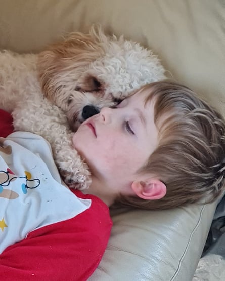 Margaret Walsh’s son Conor and their cavachon lying close together.