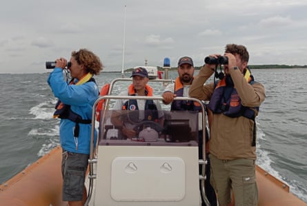 Two men look through binoculars while two others drive a rib-type boat
