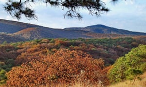 Bosque La Primavera.