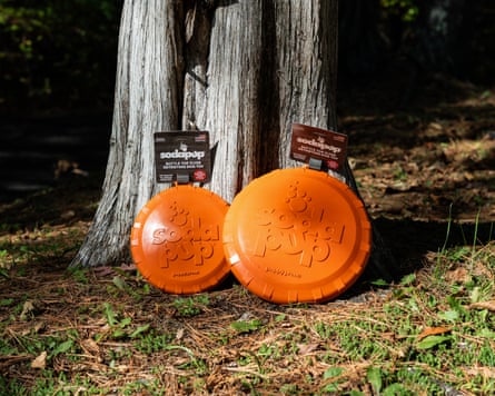 two orange frisbees leaning against trees outside
