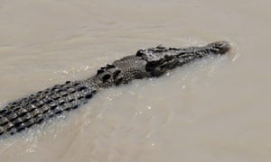British Woman In Coma After Twin Fights Off Crocodile In Mexico Mexico The Guardian British Woman In Coma After Twin Fights Off Crocodile In Mexico Mexico The Guardian