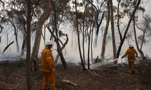 Braidwood fire