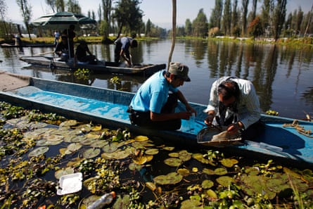 Two men crouch down on a canoe on a waterlily-strewn body of water. More people on another canoe can be seen behind them.