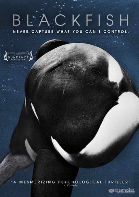 poster for the film, with a close up of an orca