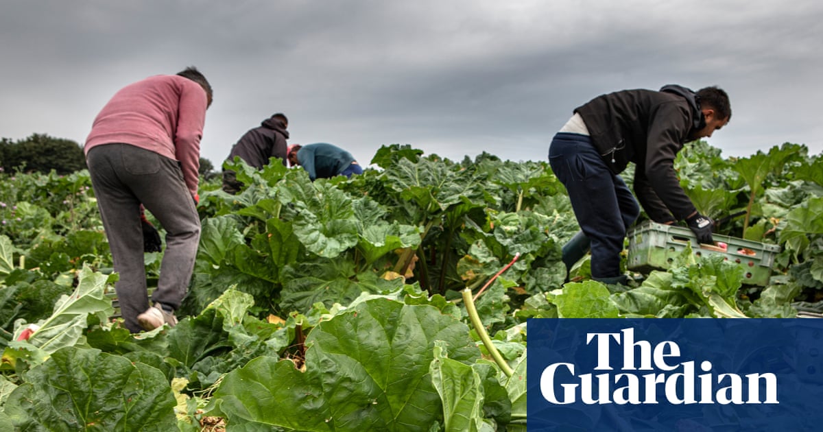 Post-Brexit licences for exporting food to EU cost UK firms up to 65m last year