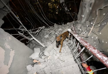 A rescue dog climbs up the steps of a wrecked building