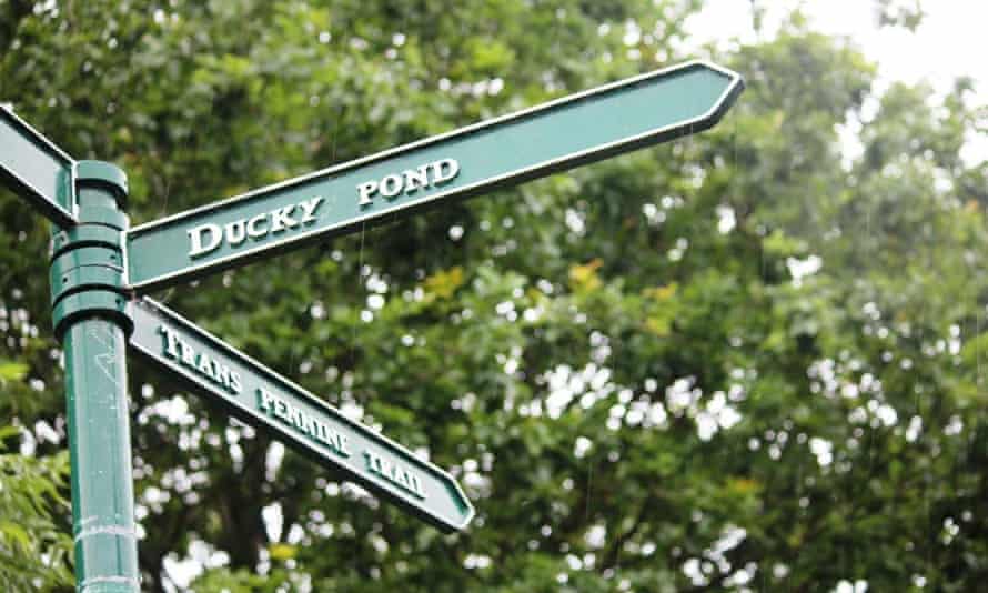 علامت Ducky Pond در مثلث Halewood ، Merseyside.