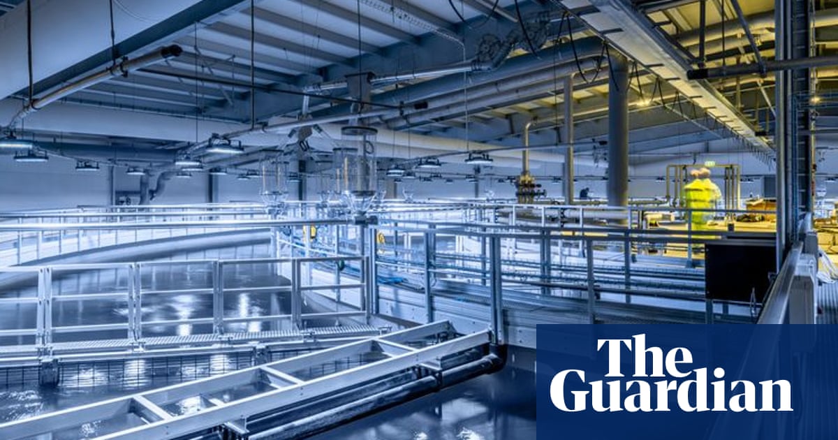 factory farmed salmon does it make