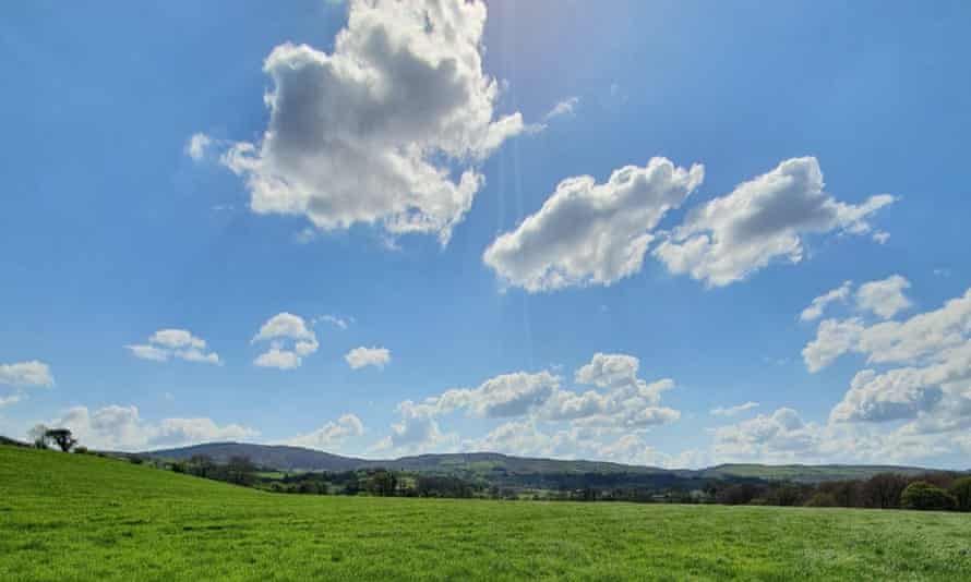 Sessile Oak Farm, Northern Ireland