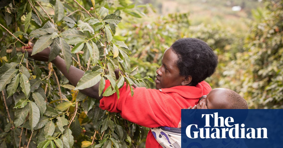 Cloth wraps treated with dirt cheap' insecticide cut malaria cases in babies