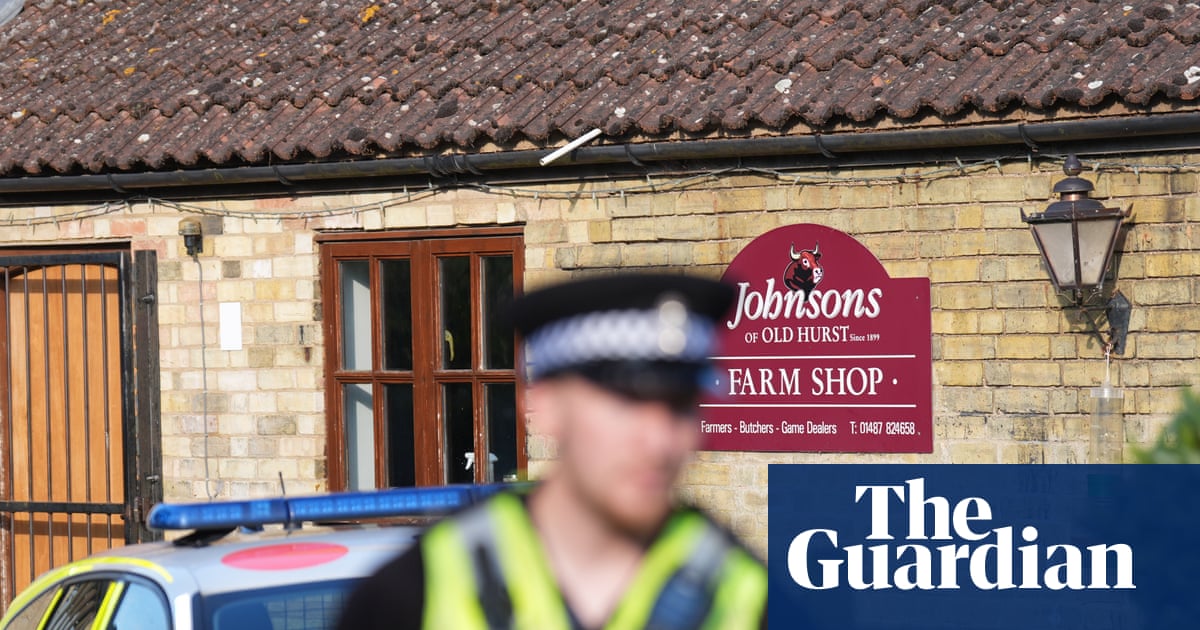 Man released on bail after boy, three, critically injured in zoo crocodile enclosure