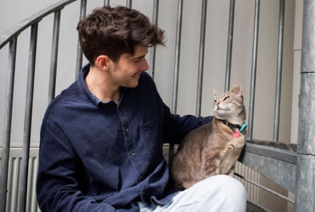Experience I M A Full Time Cat Sitter Renting Property The Guardian