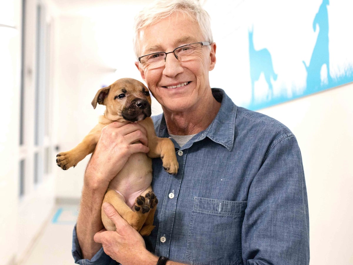 Paul O'Grady: For the Love of Dogs review – puppy love blooms in lockdown | Television | The Guardian