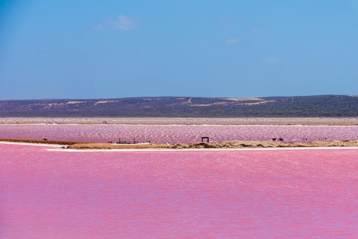 The Pink Lakes Of Australia In Pictures Environment The Guardian