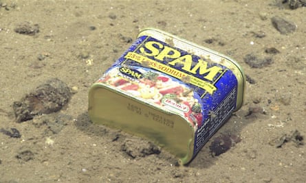 A Spam tin, resting at 4,947 metres below sea level, on the slopes of a canyon leading to the Sirena Deep in the Mariana Trench, 2016.