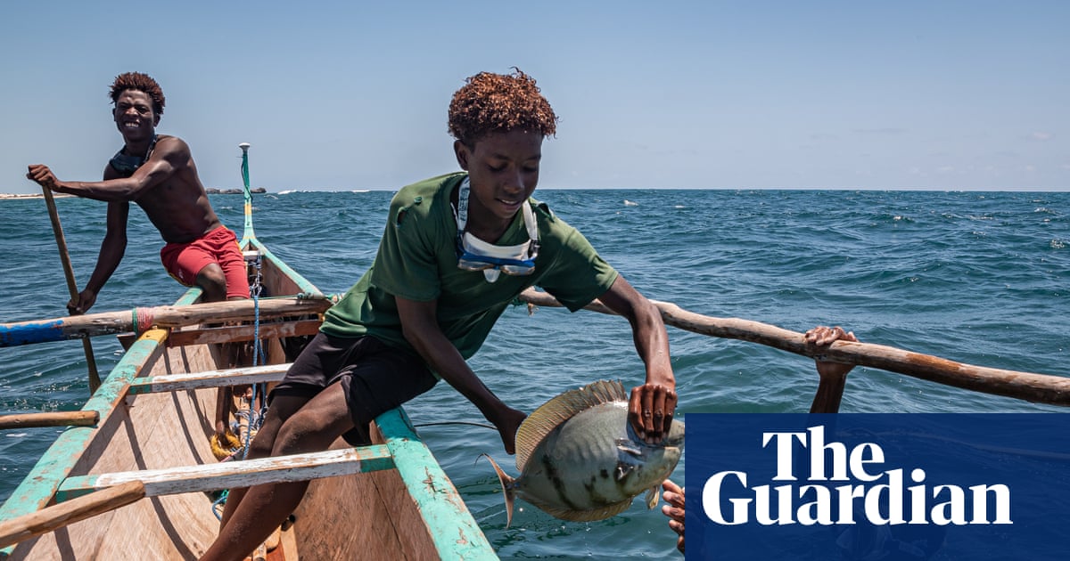 Barracuda, grouper, tuna – and seaweed: Madagascar’s fishers forced to find new ways to survive