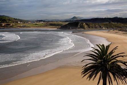A curved bay with yellow sand beach, a palm tree in the foreground and low hills in the background