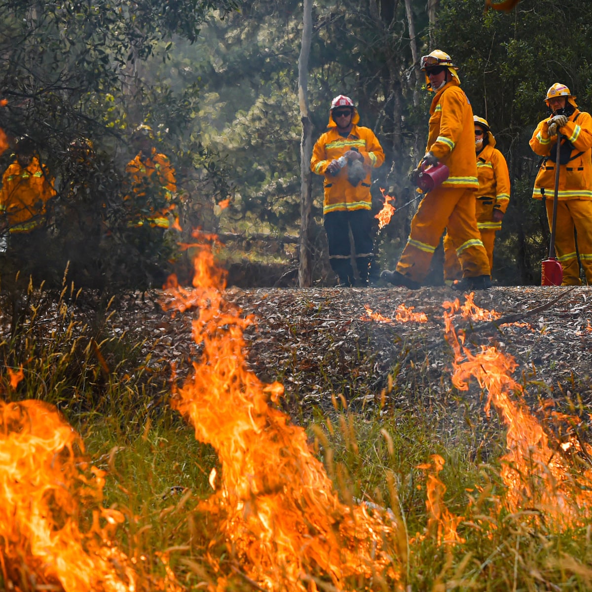 Disasters: Bushfires | Australian Child & Adolescent Trauma, Loss & Grief Network