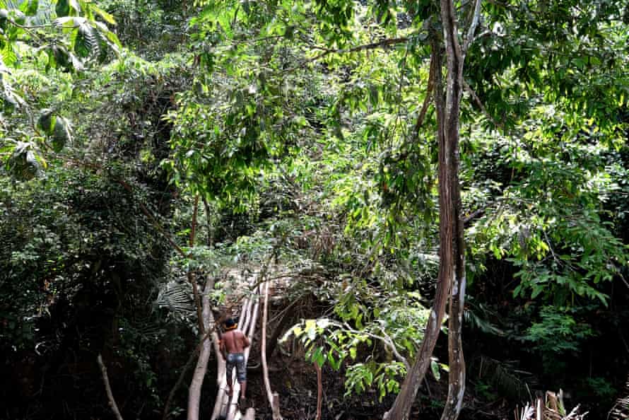 A crossing in a forest near an Awa village. Their survival has been threatened by logging, mining and a 900km railway running close to their land.