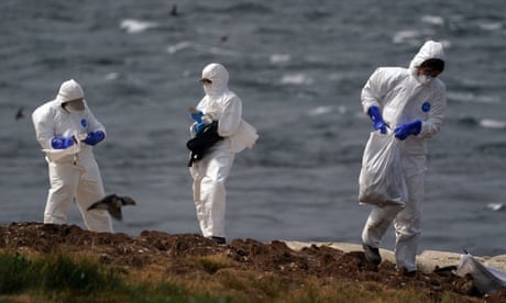 Three people in hazmat suits on a beach, one carrying a bag of carcasses