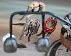 Tasmanian premier vows to end greyhound racing as he woos crossbench to back minority government