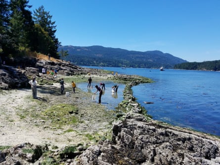 People putting things in buckets
