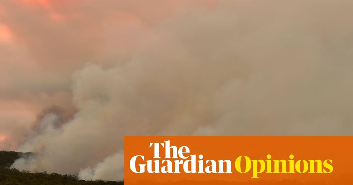 2019 has been a year of climate disaster. Yet still our leaders procrastinate - The Guardian