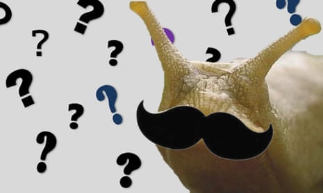 Question marks and slug with a moustache