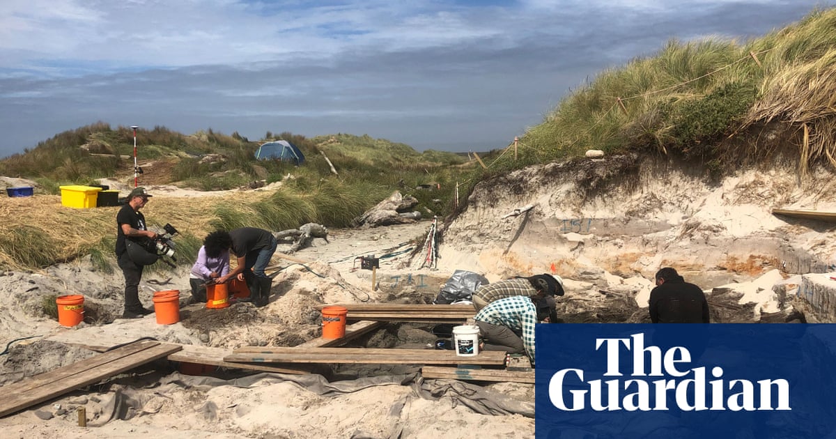 Remains of carved canoe may be most significant discovery of its kind, NZ archaeologist says