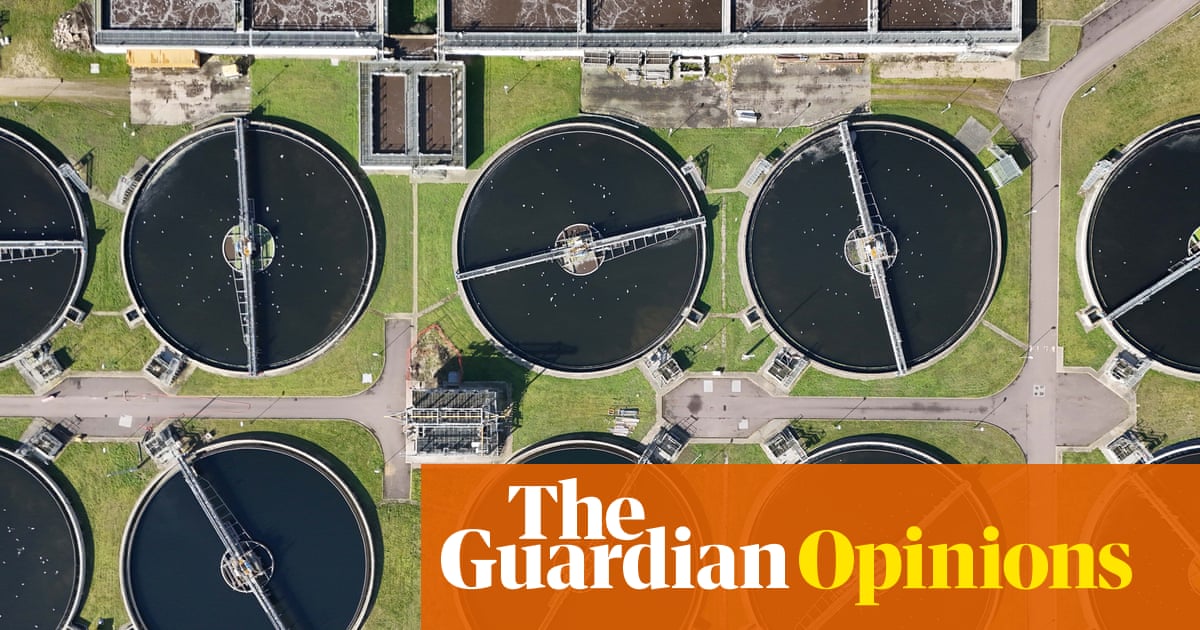 MPs should not accept any murky answers from Thames Water chair on potential sale | Nils Pratley