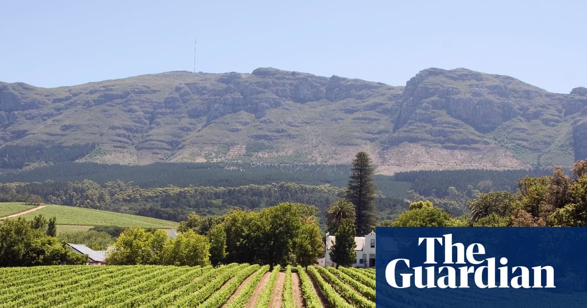 Celebrating chenin, the chameleon, global grape