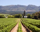 Celebrating chenin, the chameleon, global grape