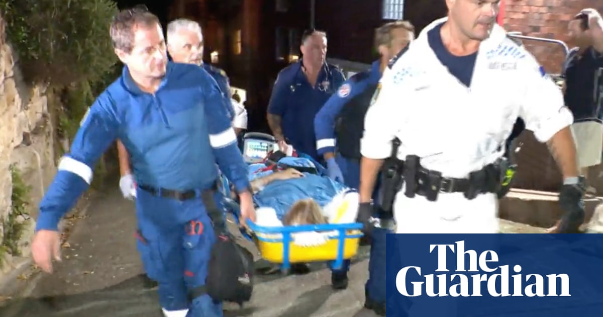 Sydney Harbour shark attack: witness tells of ‘surreal’ rescue from water | Australia news