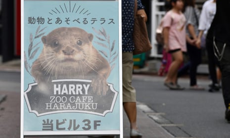 A sign for an otter cafe in the Harajuku district of Tokyo, Japan