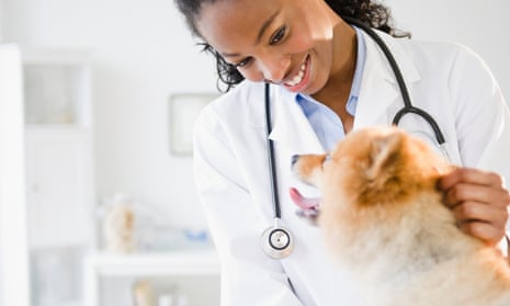 University subject profile: veterinary science | Veterinary science | The  Guardian