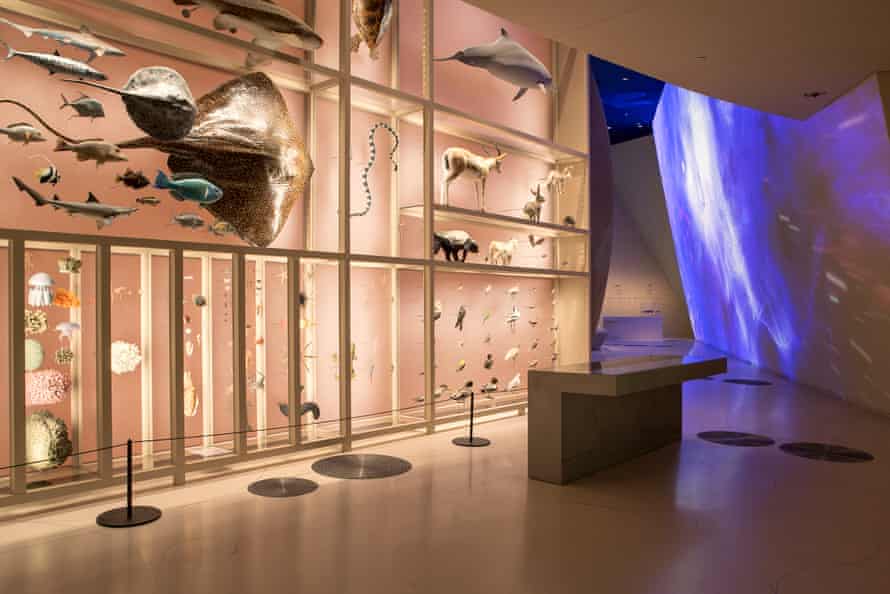Looping galleries … inside the museum.