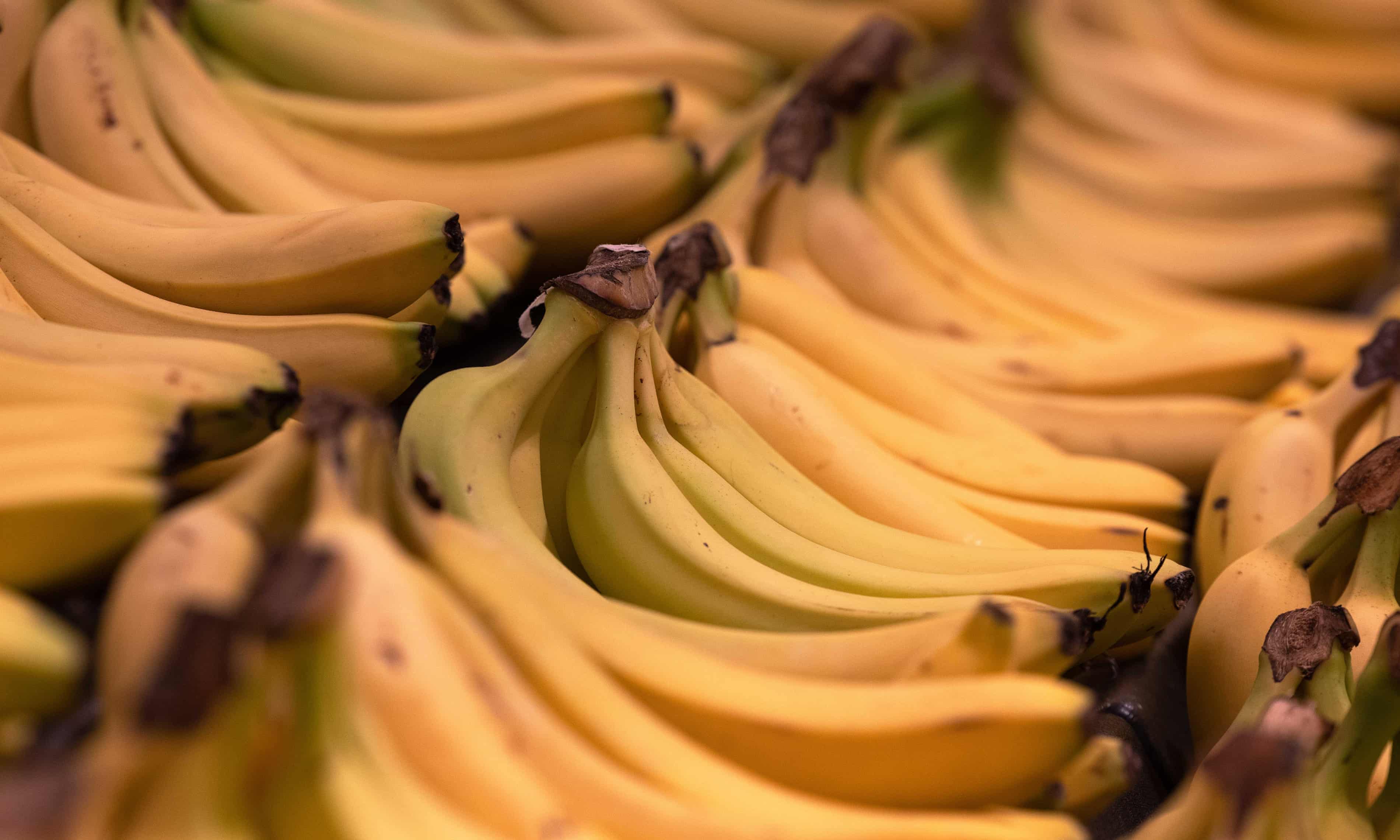 Over 40kg of cocaine found in banana shipments to French supermarkets (theguardian.com)