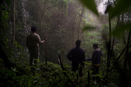 Dark picture of three men in silhouette in a dense forest area.