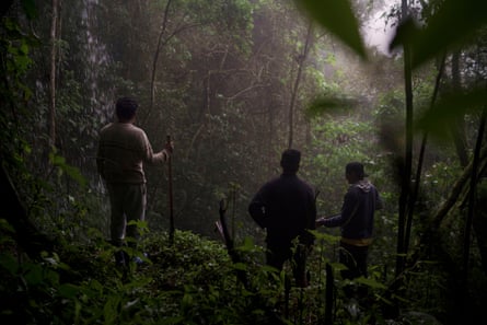 Imagen oscura de tres hombres en silueta en una zona de bosque denso.