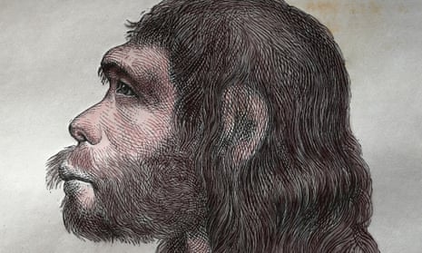 Profile drawing of a Neanderthal man
