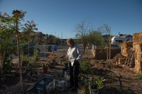 Susan Ontiveros next to the freshly planted trees in her and Silverio's frontyard.