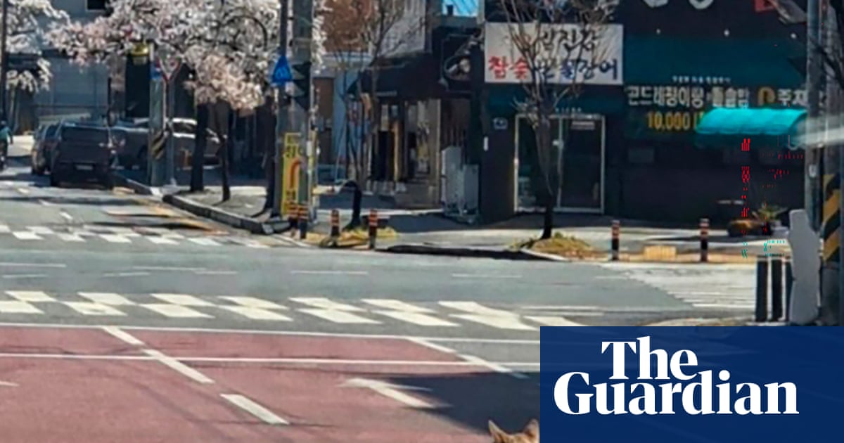 Zoo Escape Exposes Risks of Animal Captivity, Community Safety Concerns Raised